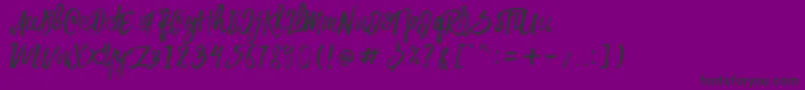 Rowo Typeface  Font – Black Fonts on Purple Background