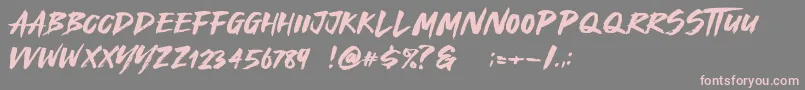 Royal Fighter Font – Pink Fonts on Gray Background