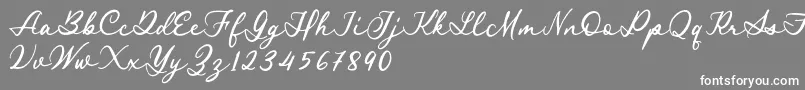More about Royal Stamford demo Font Royal Stamford demo Font – White Fonts on Gray Background
