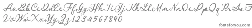 Royal Stamford demo-fontti – harmaat kirjasimet valkoisella taustalla