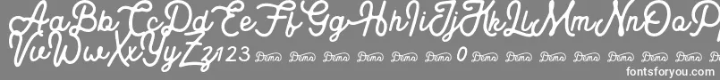 Royaland Clean Demo Version Font – White Fonts on Gray Background