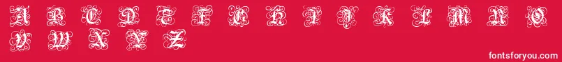 RoyalGothic Font – White Fonts on Red Background