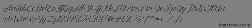 Royalite Script-fontti – mustat fontit harmaalla taustalla
