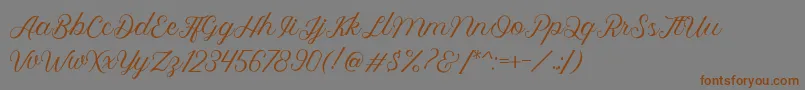 Fonte Royalite Script – fontes marrons em um fundo cinza