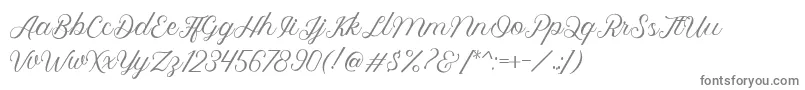 Royalite Script-fontti – harmaat fontit