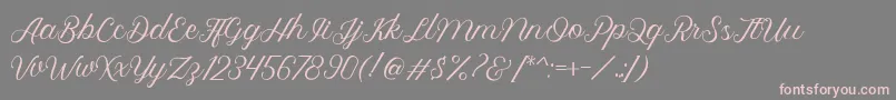 Royalite Script Font – Pink Fonts on Gray Background