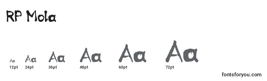 Размеры шрифта RP Mola