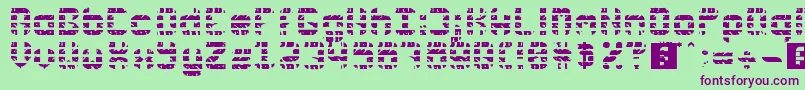 Rubber Wear Font – Purple Fonts on Green Background