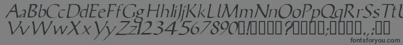 フォントVicisskItalic – 黒い文字の灰色の背景