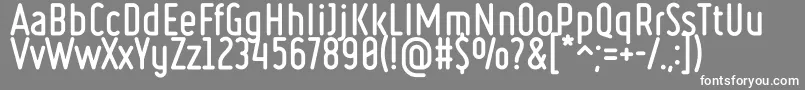 Ruler Bold Font – White Fonts on Gray Background