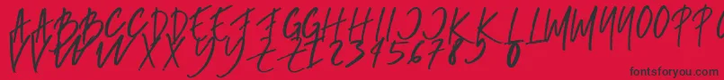 rumbe Font – Black Fonts on Red Background