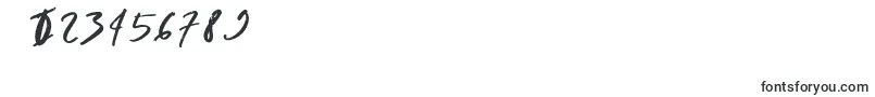 rumbe Font – Fonts for Numbers and Digits