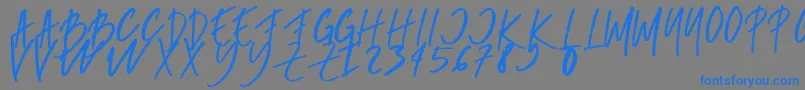 rumbe Font – Blue Fonts on Gray Background