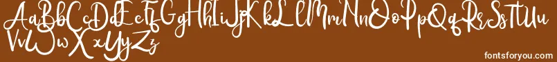 Rumero Font – White Fonts on Brown Background