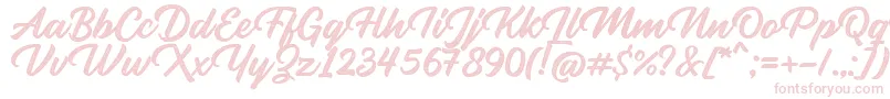 Rupture Stamp Font – Pink Fonts on White Background