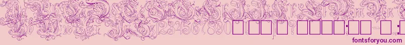 フォントRuritania Outline – ピンクの背景に紫のフォント