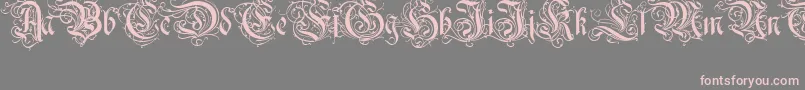 Ruritania Font – Pink Fonts on Gray Background