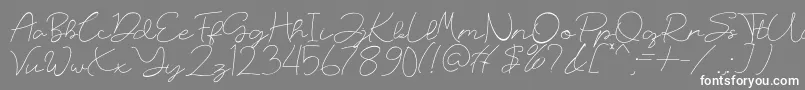 フォントRussland – 灰色の背景に白い文字