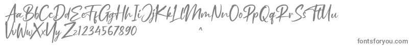 Weitere Informationen zur Ruthfully-Schriftart Ruthfully-Schriftart – Graue Schriften auf weißem Hintergrund