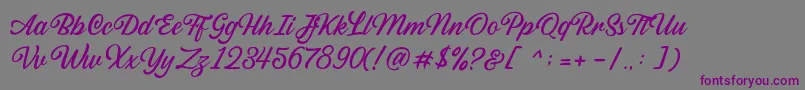 Sabatons Script DEMO-Schriftart – Violette Schriften auf grauem Hintergrund