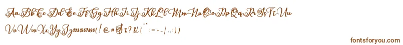 Sabena Font – Brown Fonts on White Background