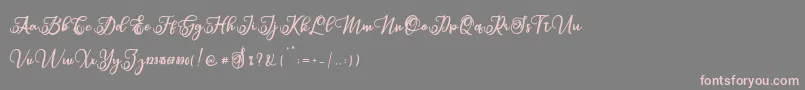 Sabena Font – Pink Fonts on Gray Background