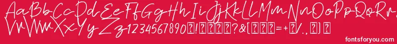 Sabina free Font – White Fonts on Red Background