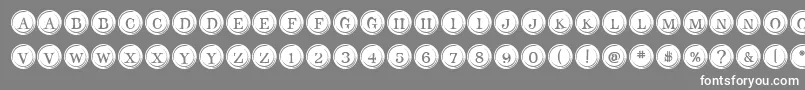 TypeKeysFilled Font – White Fonts on Gray Background