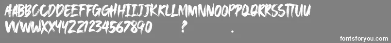 SAEROWS DEMO Font – White Fonts on Gray Background