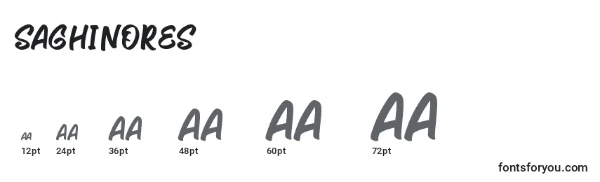 Размеры шрифта Saghinores