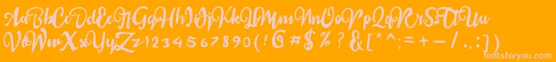 sail tortuga Font – Pink Fonts on Orange Background