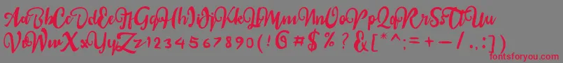 sail tortuga Font – Red Fonts on Gray Background