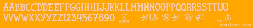 Weitere Informationen zur Sailor Gonzalez-Schriftart Sailor Gonzalez-Schriftart – Rosa Schriften auf orangefarbenem Hintergrund