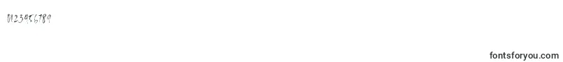 SailRoyals Personal Use Font – Fonts for Numbers and Digits