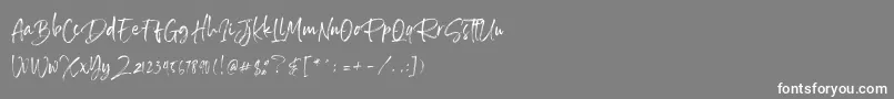 SailRoyals Personal Use Font – White Fonts on Gray Background