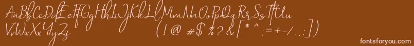 Saint Petersburg   Italic Font – Pink Fonts on Brown Background