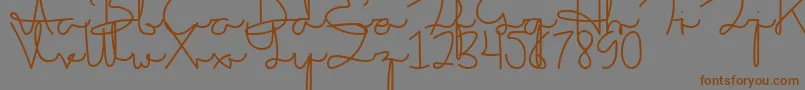 Sakila Script DEMO Font – Brown Fonts on Gray Background