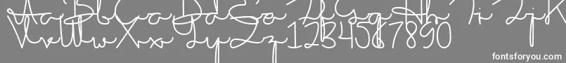 Sakila Script DEMO Font – White Fonts on Gray Background