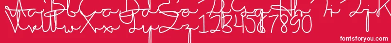 Sakila Script DEMO Font – White Fonts on Red Background