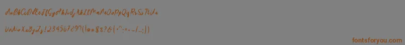 Sakira Script Font – Brown Fonts on Gray Background