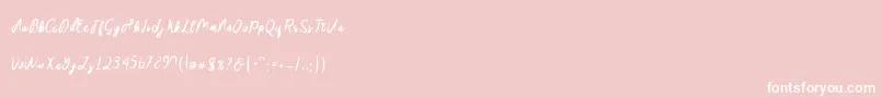 Sakira Script Font – White Fonts on Pink Background