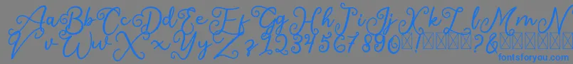 SalaheFree Font – Blue Fonts on Gray Background