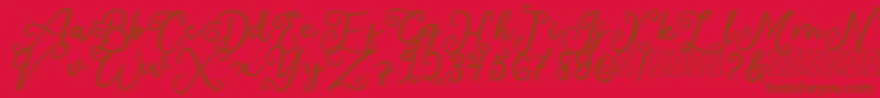 SalaheFree-fontti – ruskeat fontit punaisella taustalla