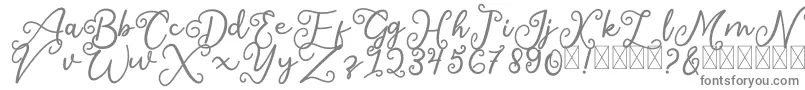 SalaheFree-Schriftart – Graue Schriften auf weißem Hintergrund