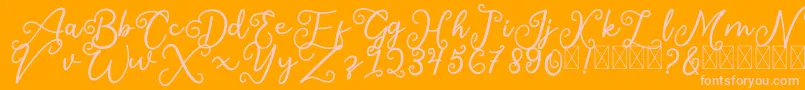 フォントSalaheFree – オレンジの背景にピンクのフォント