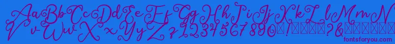 SalaheFree Font – Purple Fonts on Blue Background