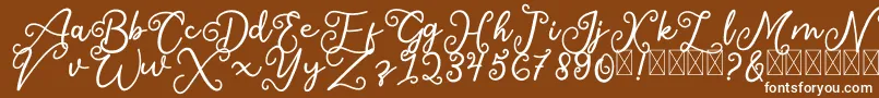 Шрифт SalaheFree – белые шрифты на коричневом фоне
