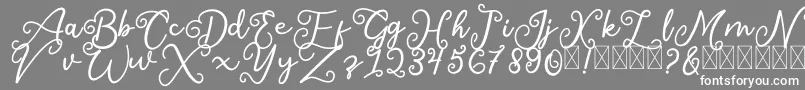 SalaheFree-Schriftart – Weiße Schriften auf grauem Hintergrund