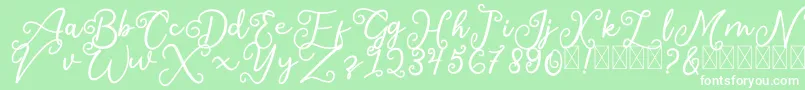 SalaheFree-fontti – valkoiset fontit vihreällä taustalla