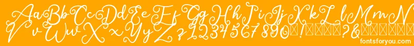 Шрифт SalaheFree – белые шрифты на оранжевом фоне